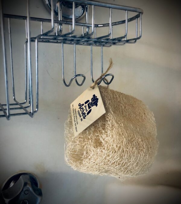 Luffa Sponge - Image 3