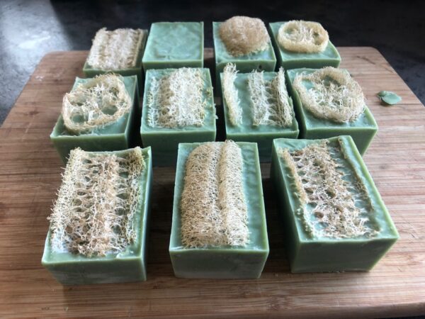 Soap luffa green1