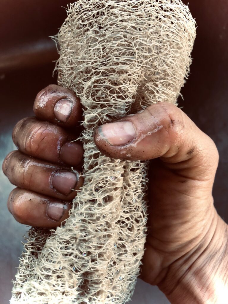 luffa grease