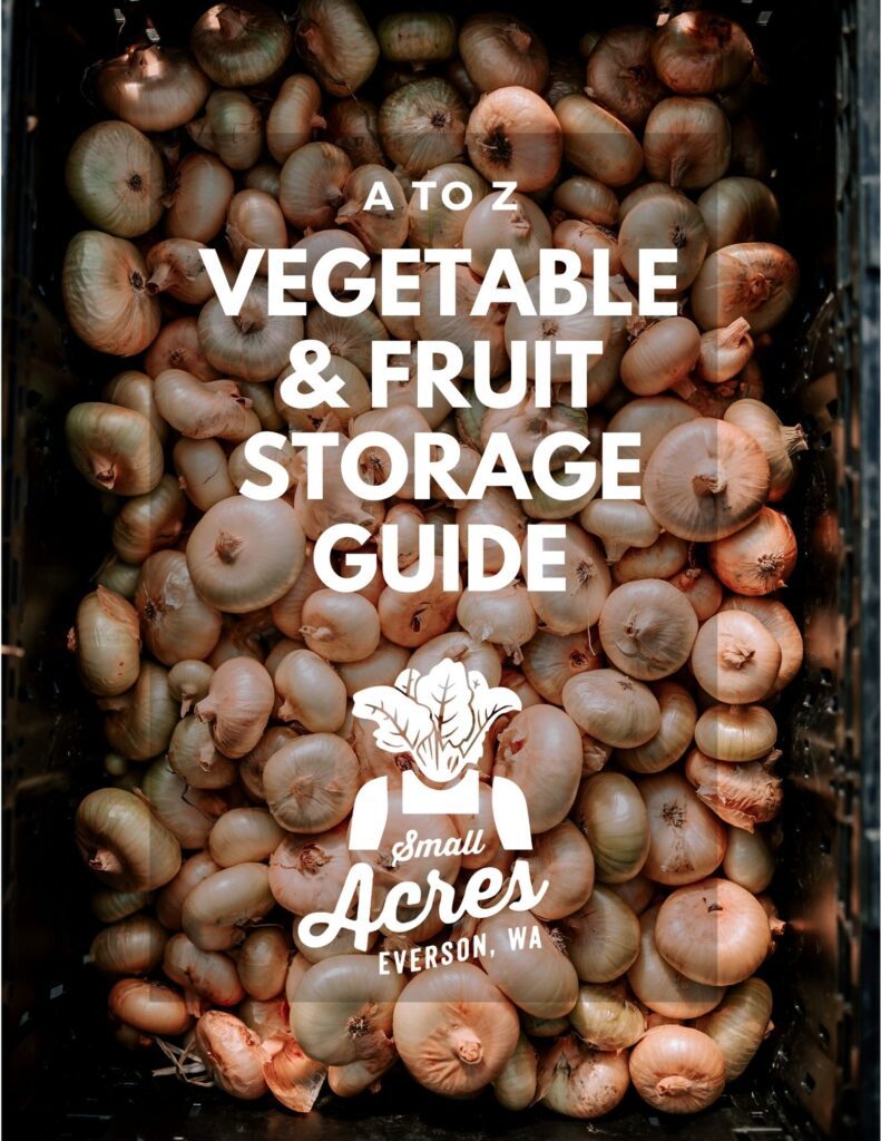 A Z Veggie Storage Guide