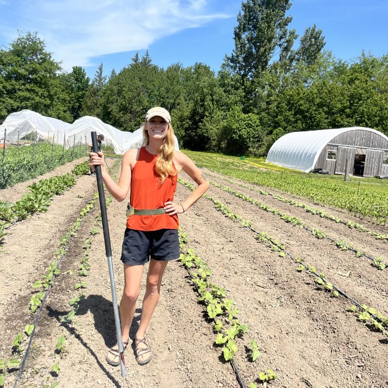 Farm Team