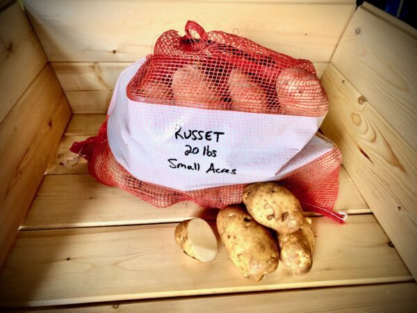 Potato Russet 20lb