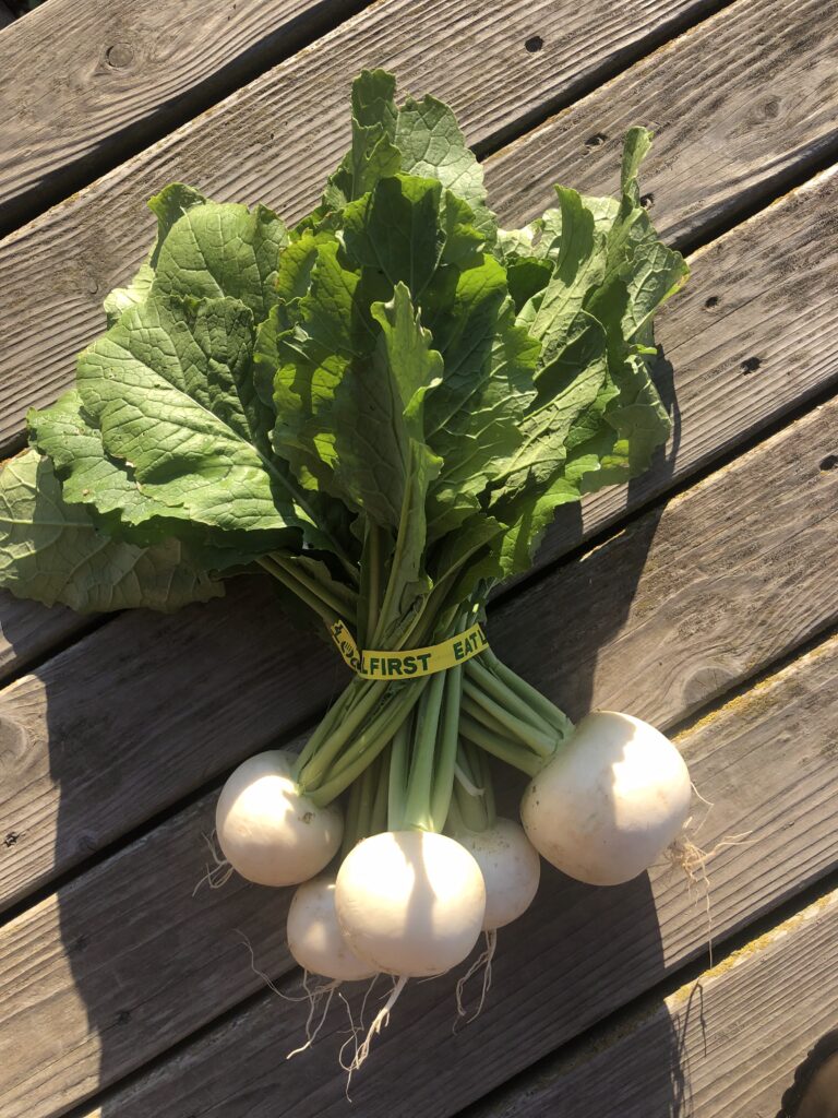 Hakurei Turnips